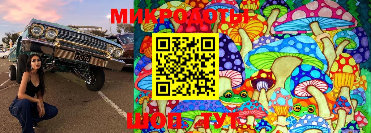 Псилоцибиновые грибы мухоморы Моздок